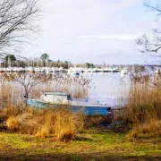 Balade découverte