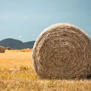 Balade découverte Fermes ouvertes