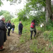 Balade dégustation  du domaine viticole Gutizia sur réservation