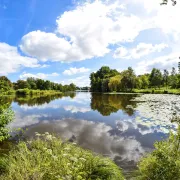 Balade digestive autour du lac