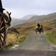 Balade En Calèche