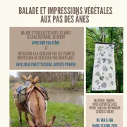 Balade et Impressions végétales aux pas des ânes