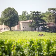 Balade historique entre carrières, plateau et côteau