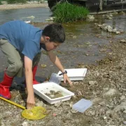 Balade Loire : A la découverte des petites bêtes terrestres