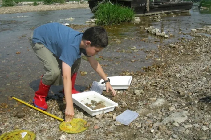 Balade Loire : A la découverte des petites bêtes terrestres