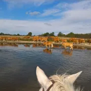 Balade nature à la ferme des Buttons