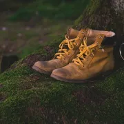 Balade nature au profit de l'AFM TELETHON à Saint-Aulaye