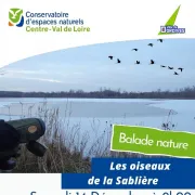 Balade nature avec le CEN : Les oiseaux de la Sablière