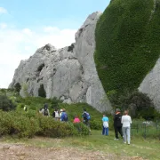 Balade nature : Biodiversité aux Caisses de Jean-Jean