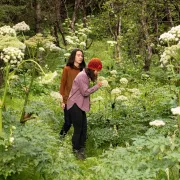 Balade Plantes Comestibles Et Atelier Cuisine