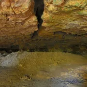 Balade préhisto' du Musée aux grottes