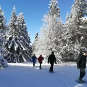 Balade Raquettes Aux Aurores Et Brunch En Ferme Auberge