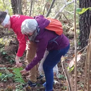 Balade sensorielle dans la Réserve Géologique de Saucats