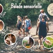 Balade sensorielle et naturaliste