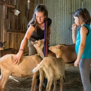 Balades à cheval, tir à l'arc, voltige... vacances de fin d'année