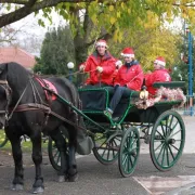 Balades en calèche