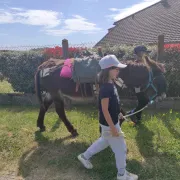 Balades et randonnées avec un âne