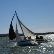 Balades Sur La Lagune En Voilier De Tradition