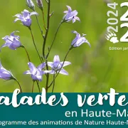 Balades Vertes En Haute Marne : Arbres Remarquables : Vraiment ?