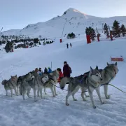 Baptême découverte en traîneau à chiens