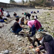 BIOLIT - Les Observateurs du Littoral : participez à un suivi de l\'estran du littoral basqu