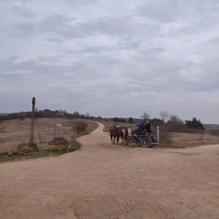 Boucle de découverte sur la lande du Bollenberg