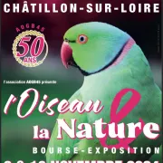 Bourse aux oiseaux à Châtillon-sur-Loire