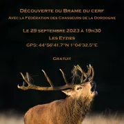 Brame du cerf