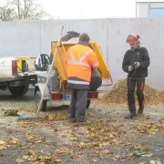 Broyage de végétaux à la déchèterie de Dangé St Romain (sur inscription)