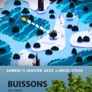 Buissons : Jeu Vidéo