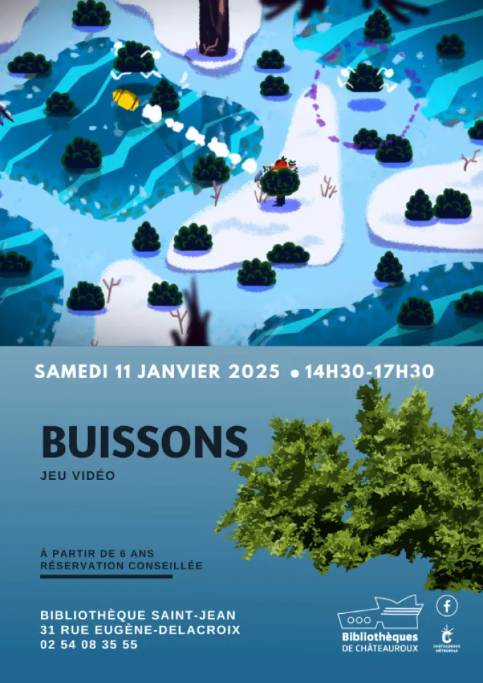 Buissons : Jeu Vidéo