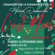 C'est Noël au Domaine d'Étilly