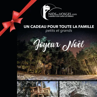 Nids des Vosges : une idée cadeau insolite pour Noël 🌲