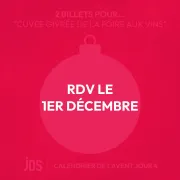 Calendrier de l’Avent JDS 2024 : Vivez un mois de surprises magiques !