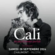 Cali, 20 Ans D\'Amour Parfait