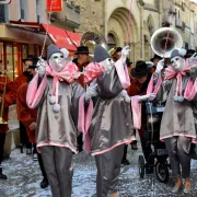 Carnaval De Limoux 2025 : \