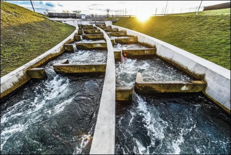 La passe à poissons