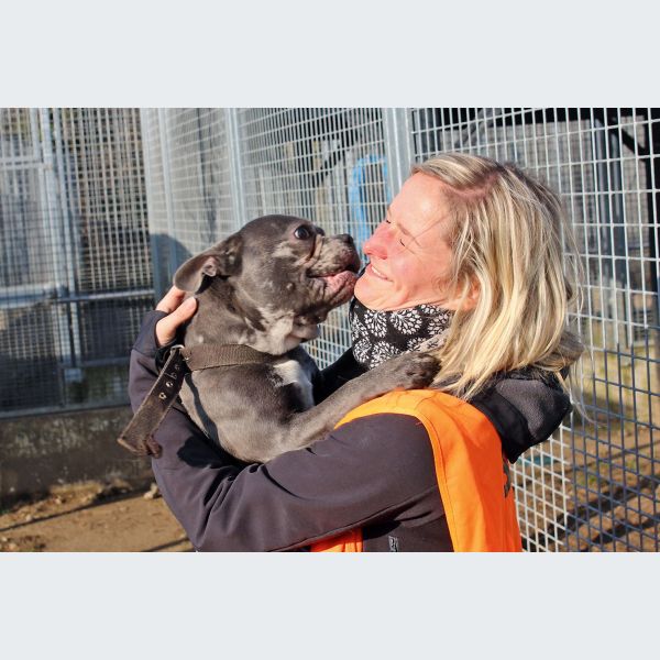 Ne pas désinfecter les pattes de son chien - SPA de Lyon et du Sud-Est