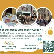 Cet été, des visites traditionnelles ou insolites sur le territoire de Thann-Cernay