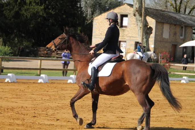 Challenge départemental  de dressage