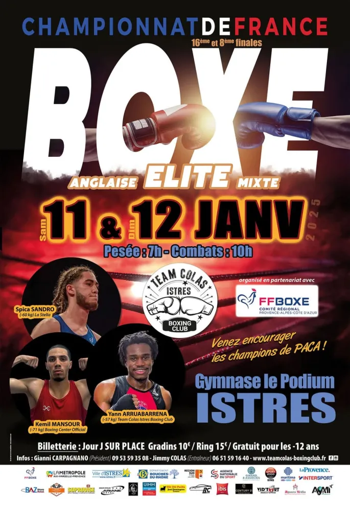 Championnat de France de Boxe