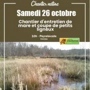 Chantier d\'entretien de mare et coupe de petits ligneux