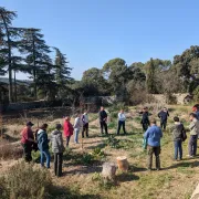 Chantier Participatif Plantation D’un Bosquet Fruitier 