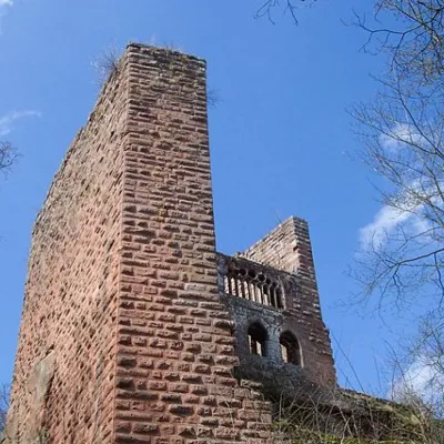 Château de la Wasenbourg