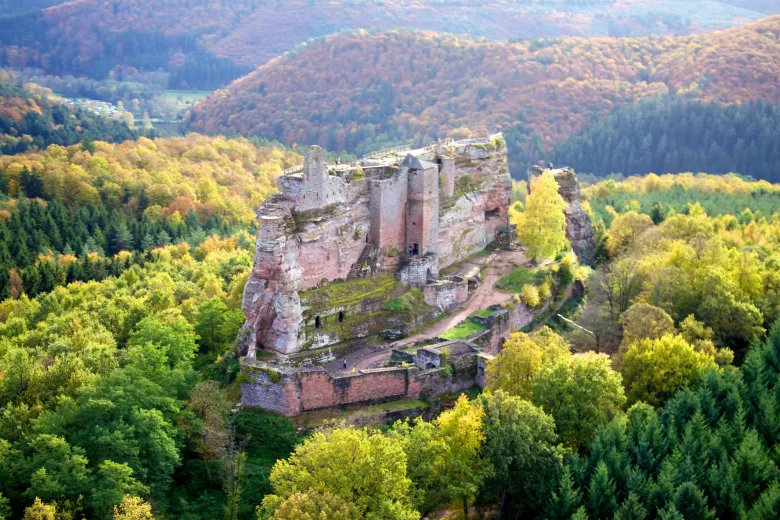 Le Château fort de Fleckenstein domine la forêt environnante