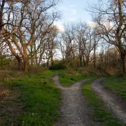 Chemin d\'étang, raconte-nous la Brenne