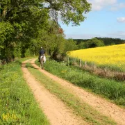 Chemins en Fête - rando équestre