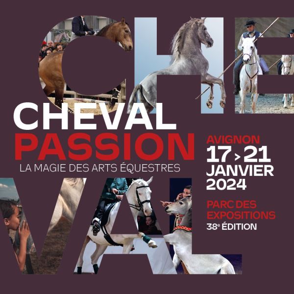 Cheval Passion Avignon 2024 dates, horaires, tarifs, exposants