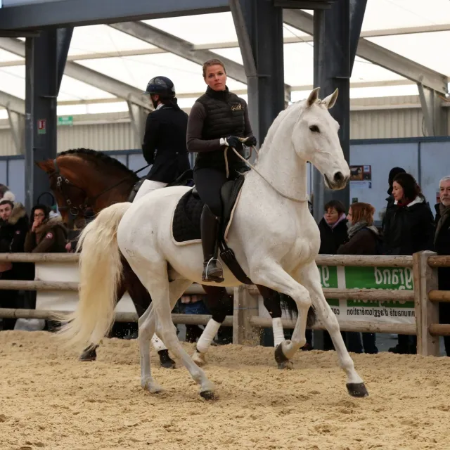 Cheval Passion