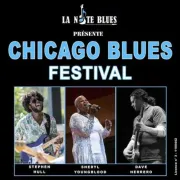 Chicago Blues Festival